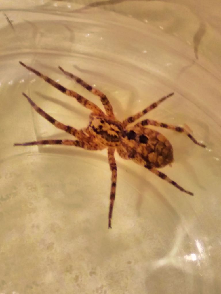2015_12_28-18_56_37_7fc34.jpg