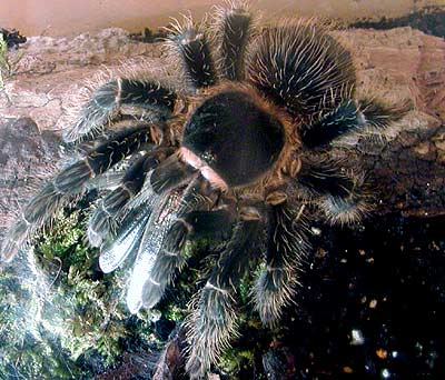 2016_02_19-17_28_13_6cb2a.jpg