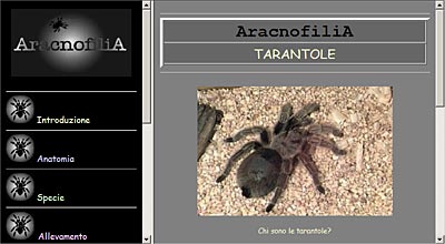 Aracnofilia Sito web 1997-1999