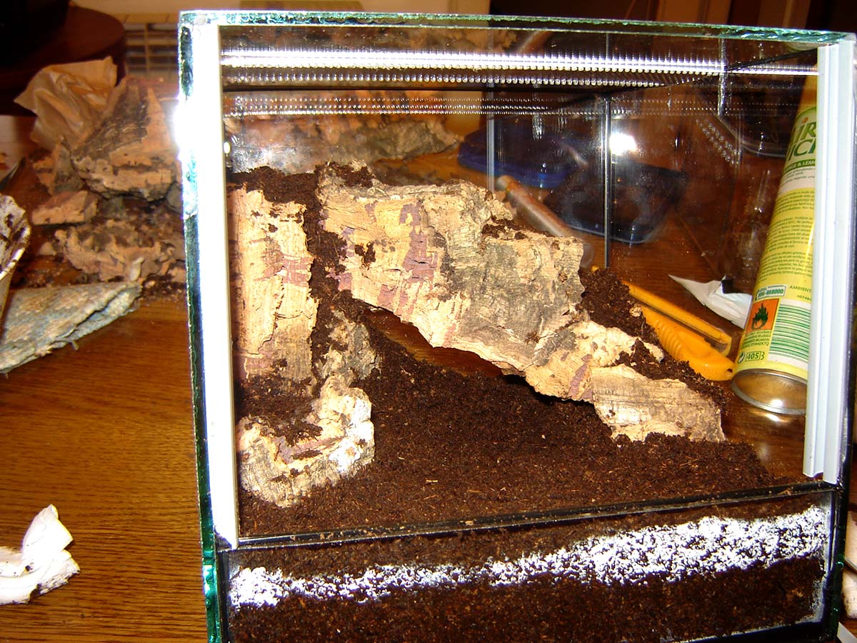 Terrario semplice con solo torba e un sughero come riparo