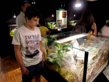 ragazzo che osserva un terrario