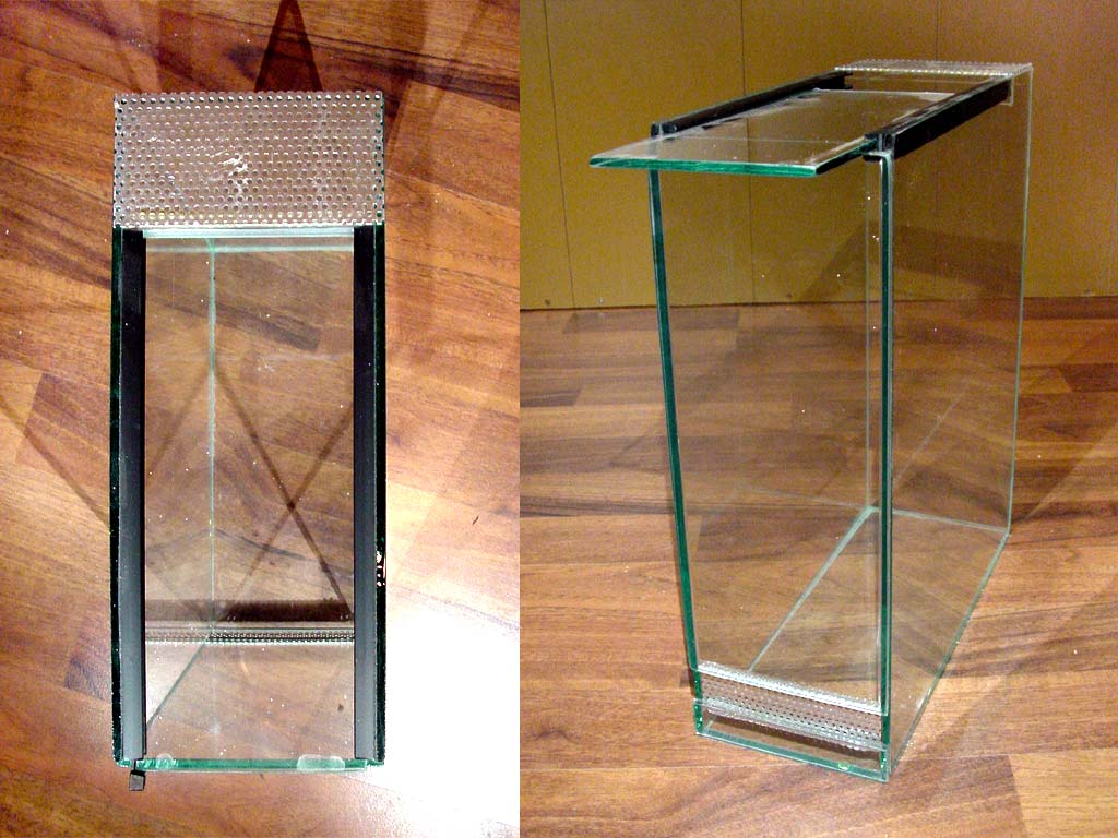 Terrari in vetro per migali fossorie