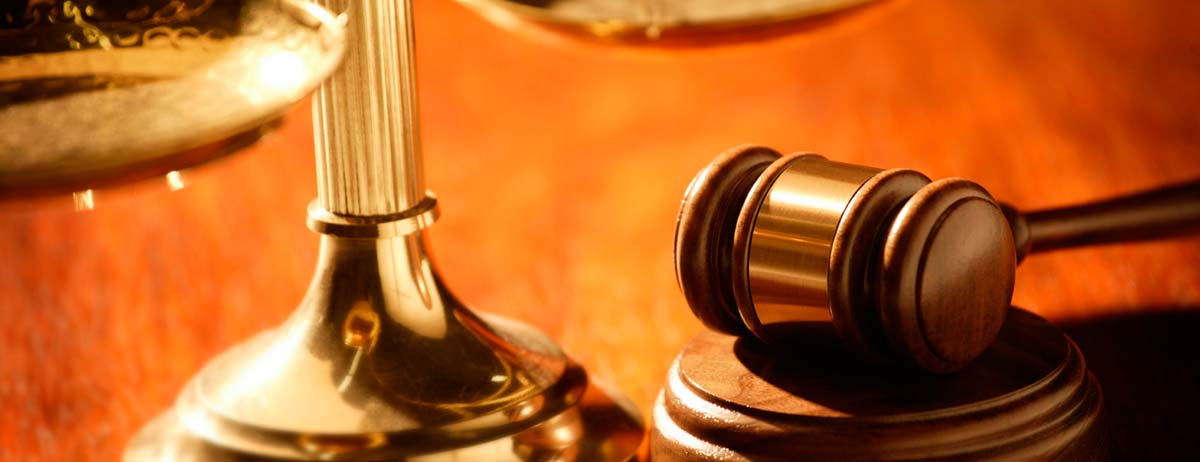 Poecilotheria in Cites