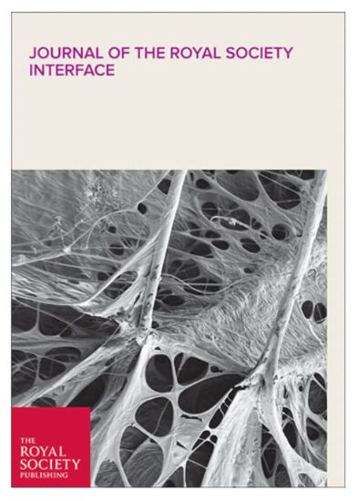 Cover 2021 How spiders hunt heavy prey Cover