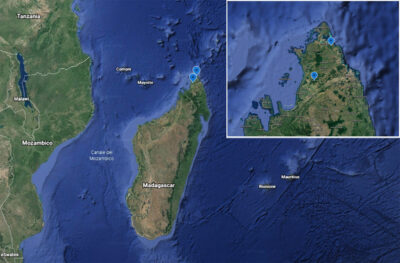 Madagascar: Areale di distribuzione di Monocentropus lambertoni 