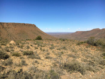 Habitat di Harpactira pulchripes, Karoo Sudafrica