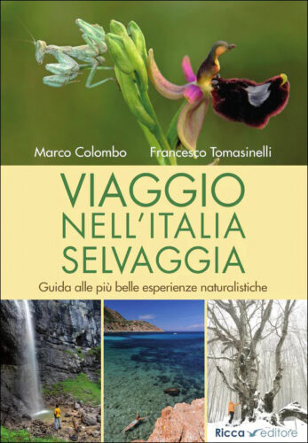 Copertina del libro premio Viaggio nell'Italia selvaggia. Guida alle più belle esperienze naturalistiche