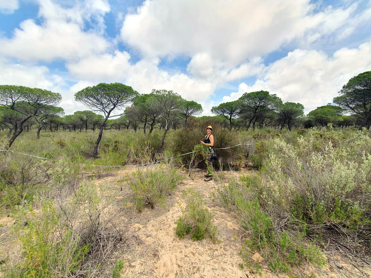 Ludovica Liberati durante un transetto delle ricerche su Donacosa merlini