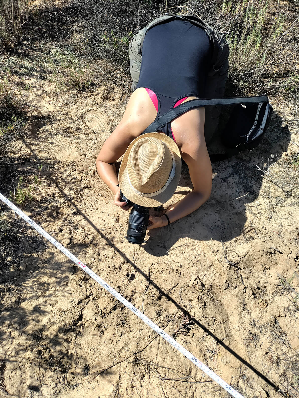 Ludovica Liberati scatta macro fotografie durante le ricerche su Donacosa merlini