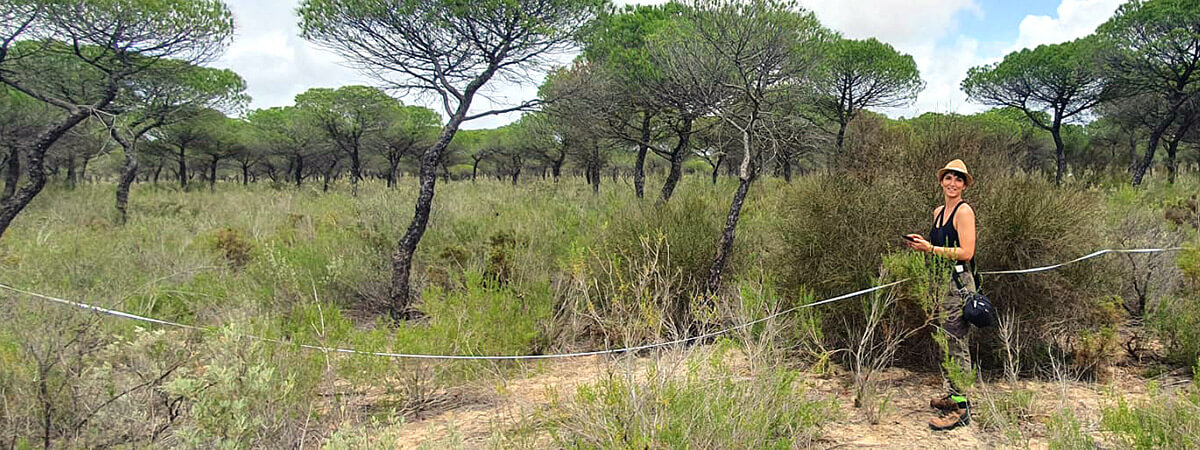 Tirocinio Donacosa merlini Ludovica Liberati Parco Donana