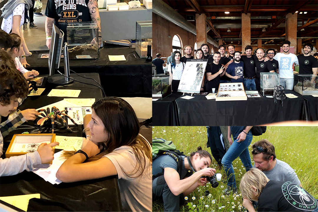 Partecipa alla raccolta fondi di Aracnofilia