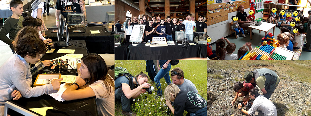 Sostieni aracnofilia con la raccolta fondi