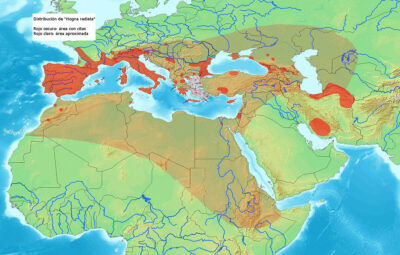 Distribuzione di Hogna radiata