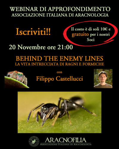 Webinar mirmecofilia filippo castellucci