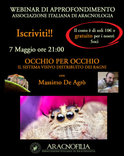 Wbinar OCCHIO PER OCCHIO come vede un ragno