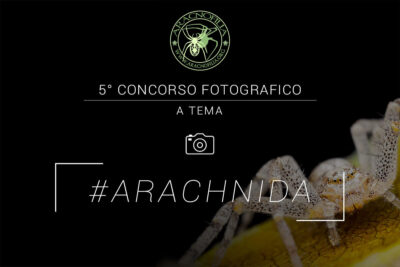 Evidenza per Sito 1080×720 concorso 2025 copia